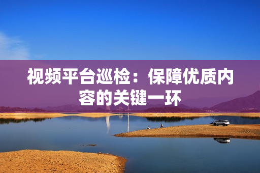 视频平台巡检：保障优质内容的关键一环