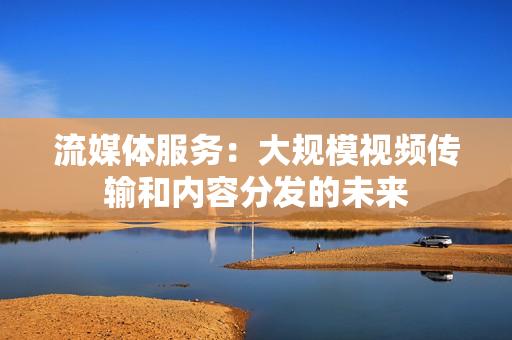 流媒体服务：大规模视频传输和内容分发的未来