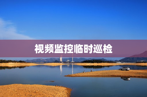 视频监控临时巡检