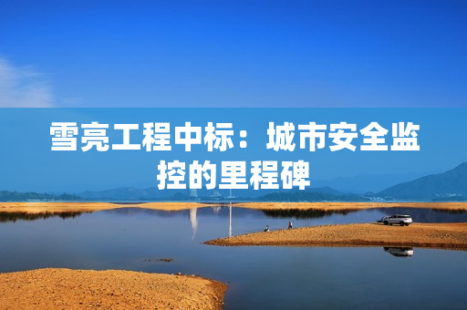 雪亮工程中标：城市安全监控的里程碑