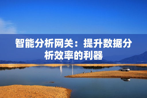 智能分析网关：提升数据分析效率的利器