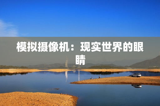 模拟摄像机：现实世界的眼睛