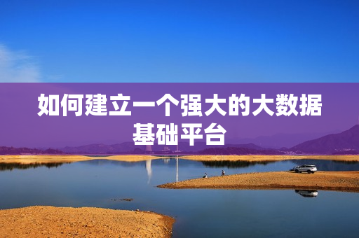 如何建立一个强大的大数据基础平台