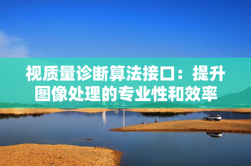 视质量诊断算法接口：提升图像处理的专业性和效率