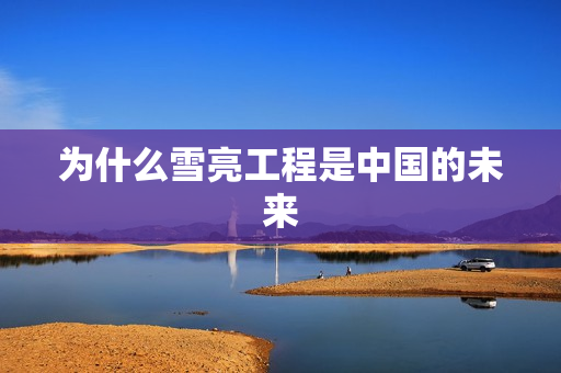 为什么雪亮工程是中国的未来