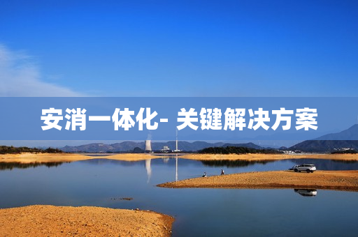 安消一体化- 关键解决方案