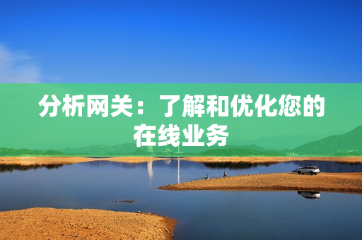 分析网关：了解和优化您的在线业务