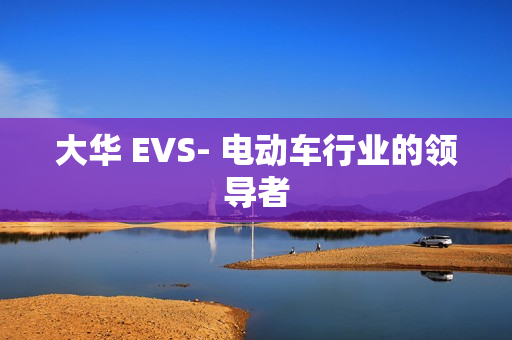大华 EVS- 电动车行业的领导者
