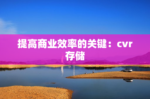 提高商业效率的关键：cvr存储