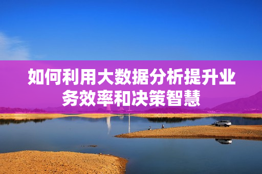 如何利用大数据分析提升业务效率和决策智慧