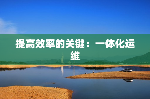 提高效率的关键：一体化运维