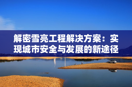 解密雪亮工程解决方案：实现城市安全与发展的新途径