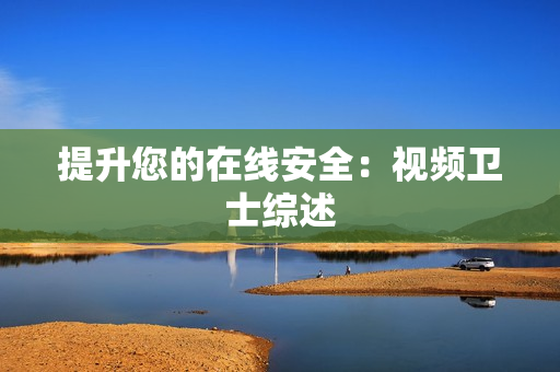 提升您的在线安全：视频卫士综述