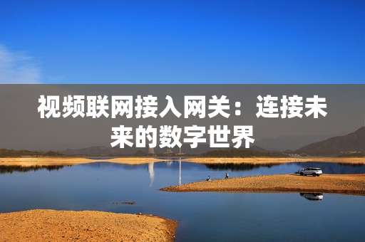 视频联网接入网关：连接未来的数字世界