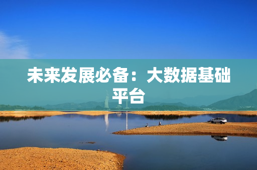 未来发展必备：大数据基础平台