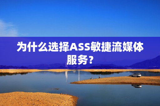 为什么选择ASS敏捷流媒体服务？