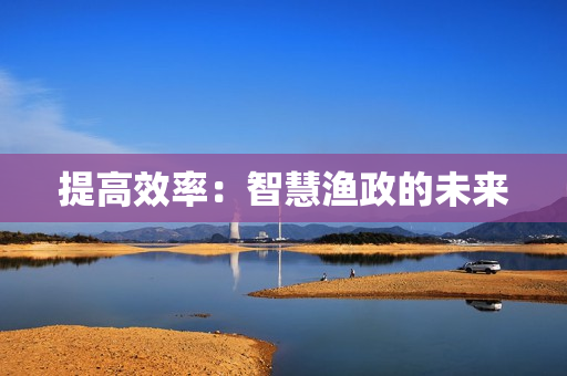 提高效率：智慧渔政的未来