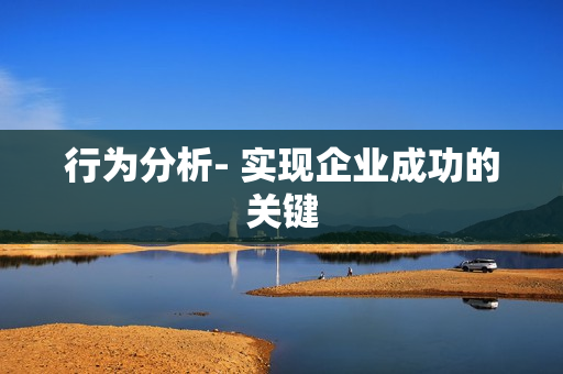 行为分析- 实现企业成功的关键