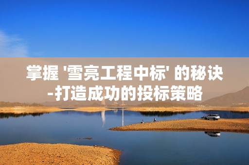 掌握 '雪亮工程中标' 的秘诀-打造成功的投标策略