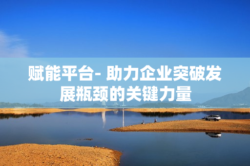 赋能平台- 助力企业突破发展瓶颈的关键力量
