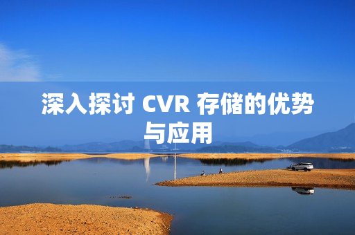 深入探讨 CVR 存储的优势与应用