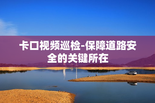 卡口视频巡检-保障道路安全的关键所在