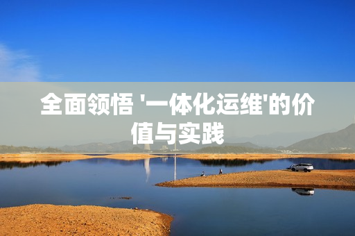 全面领悟 '一体化运维'的价值与实践