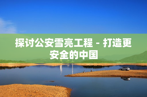 探讨公安雪亮工程 - 打造更安全的中国