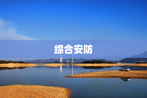 综合安防