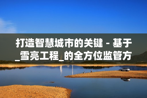 打造智慧城市的关键 - 基于_雪亮工程_的全方位监管方案