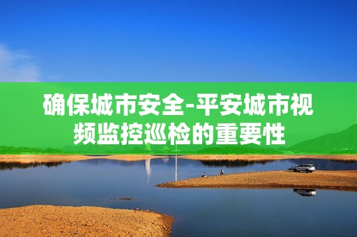 确保城市安全-平安城市视频监控巡检的重要性