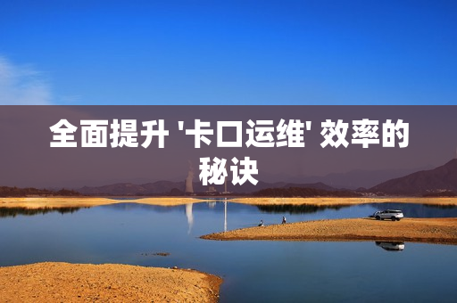 全面提升 '卡口运维' 效率的秘诀