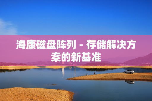 海康磁盘阵列 - 存储解决方案的新基准