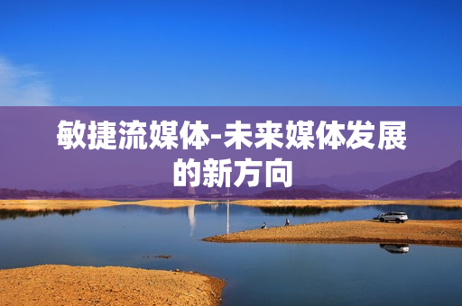 敏捷流媒体-未来媒体发展的新方向
