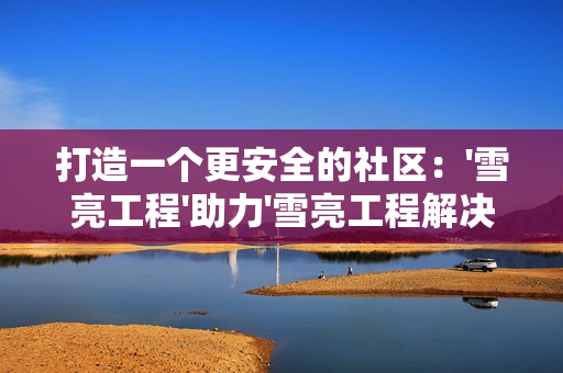 打造一个更安全的社区：'雪亮工程'助力'雪亮工程解决方案'
