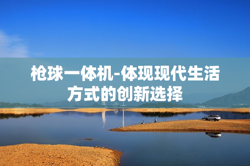 枪球一体机-体现现代生活方式的创新选择