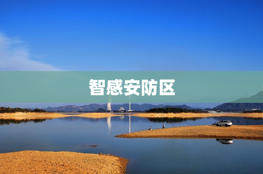 智感安防区