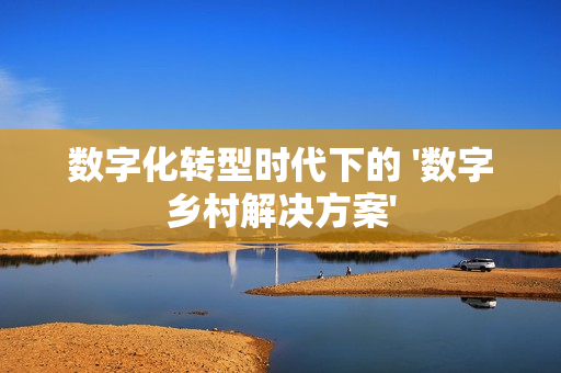 数字化转型时代下的 '数字乡村解决方案'