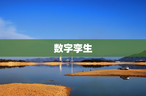 数字孪生