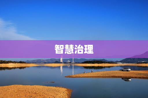 智慧治理