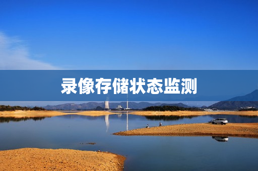 录像存储状态监测