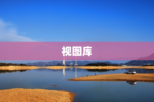 视图库