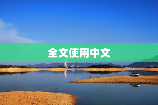 全文使用中文