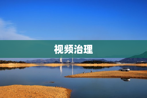 视频治理