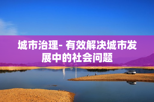 城市治理- 有效解决城市发展中的社会问题