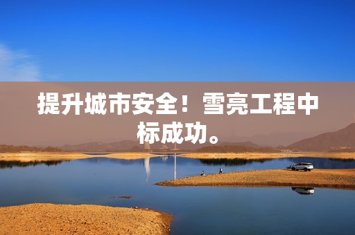 提升城市安全！雪亮工程中标成功。