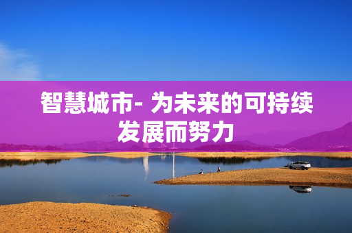 智慧城市- 为未来的可持续发展而努力
