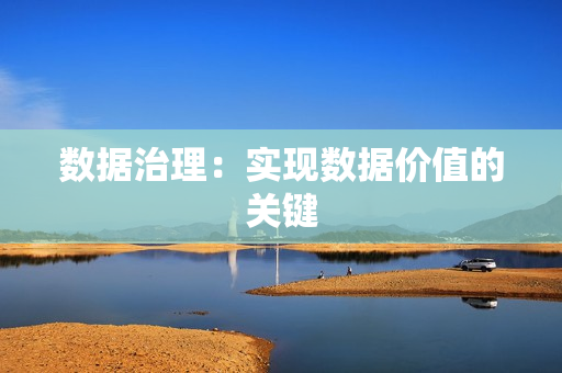 数据治理：实现数据价值的关键