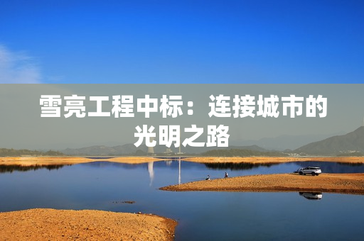 雪亮工程中标：连接城市的光明之路