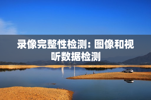 录像完整性检测: 图像和视听数据检测